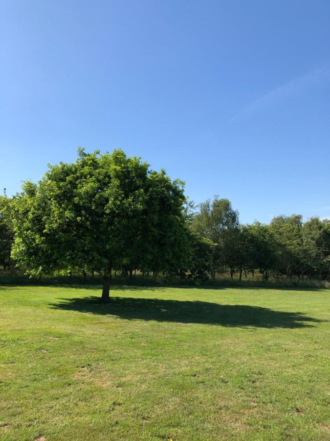 Meadows Barn Apartment Chelmsford Bagian luar foto